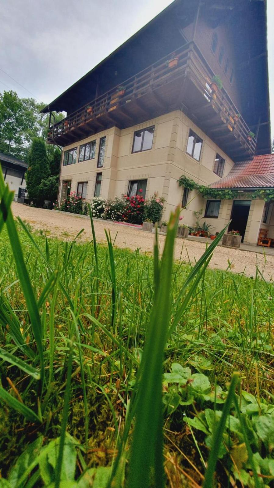 Pensiunea Belvedere Bran  Buitenkant foto