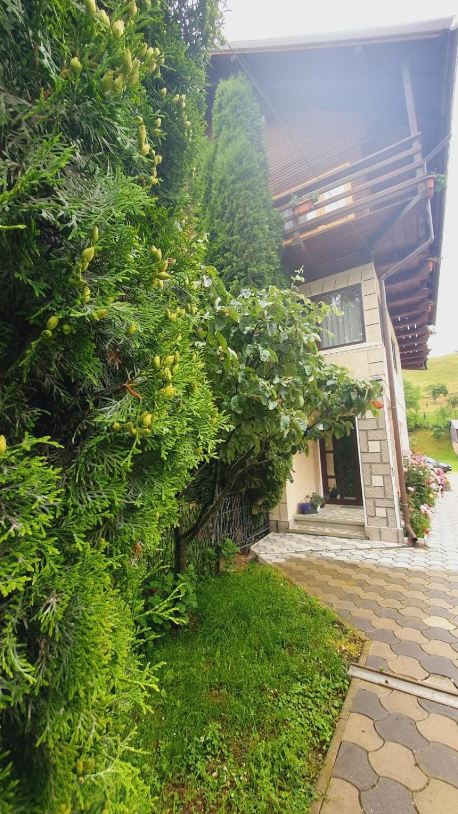 Pensiunea Belvedere Bran  Buitenkant foto