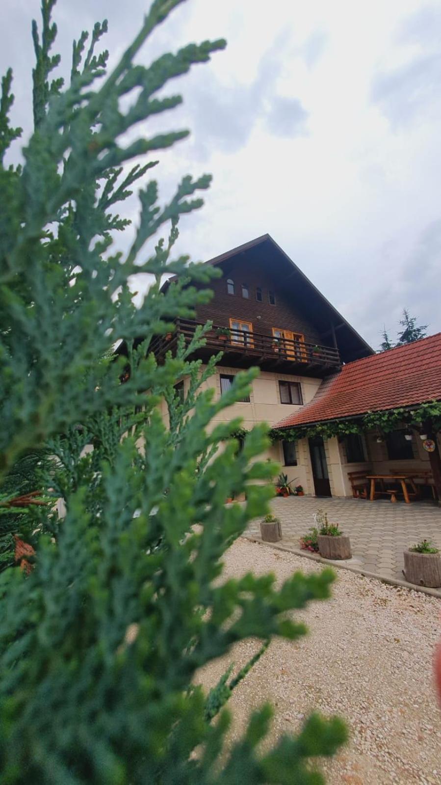 Pensiunea Belvedere Bran  Buitenkant foto