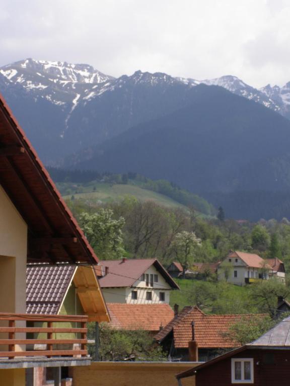 Pensiunea Belvedere Bran  Buitenkant foto